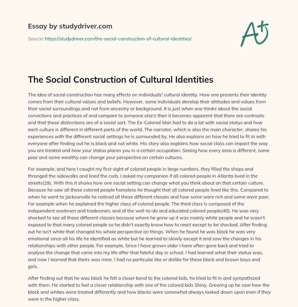 The Social Construction of  Cultural Identities essay