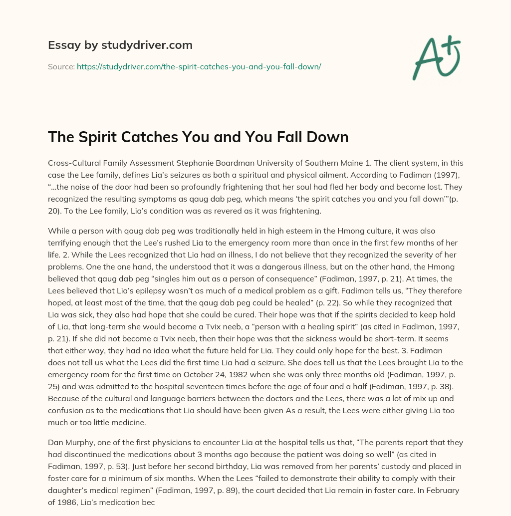 The Spirit Catches you and you Fall down essay