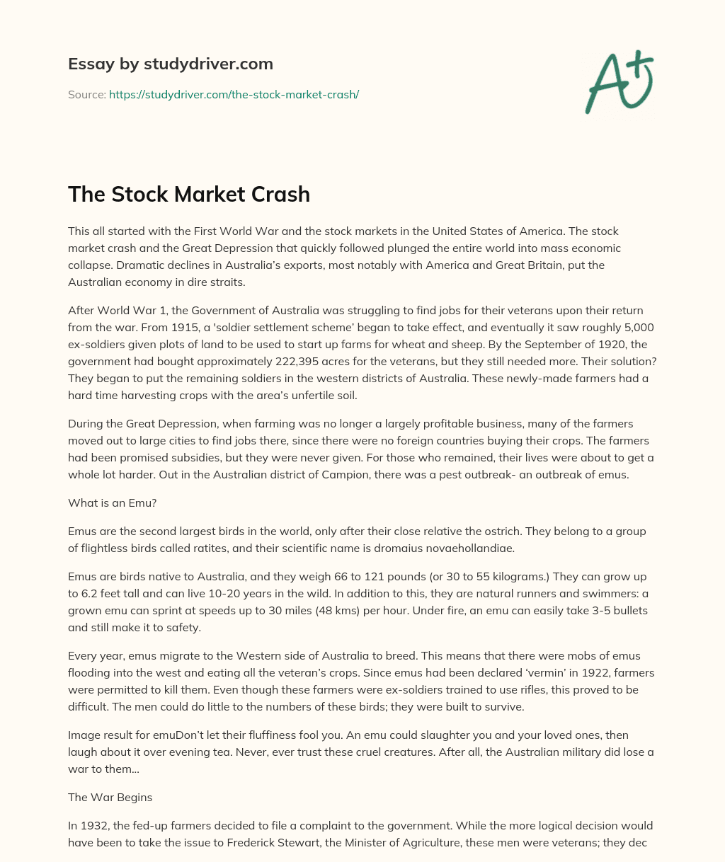 The Stock Market Crash essay