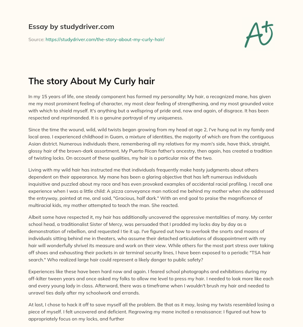 The Story about my Curly Hair essay
