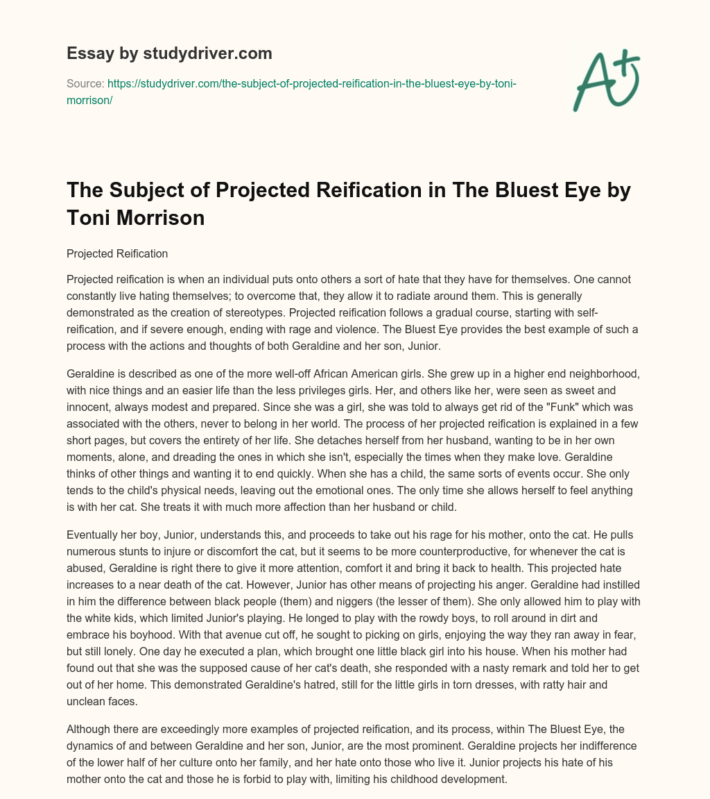 The Subject of Projected Reification in the Bluest Eye by Toni Morrison essay