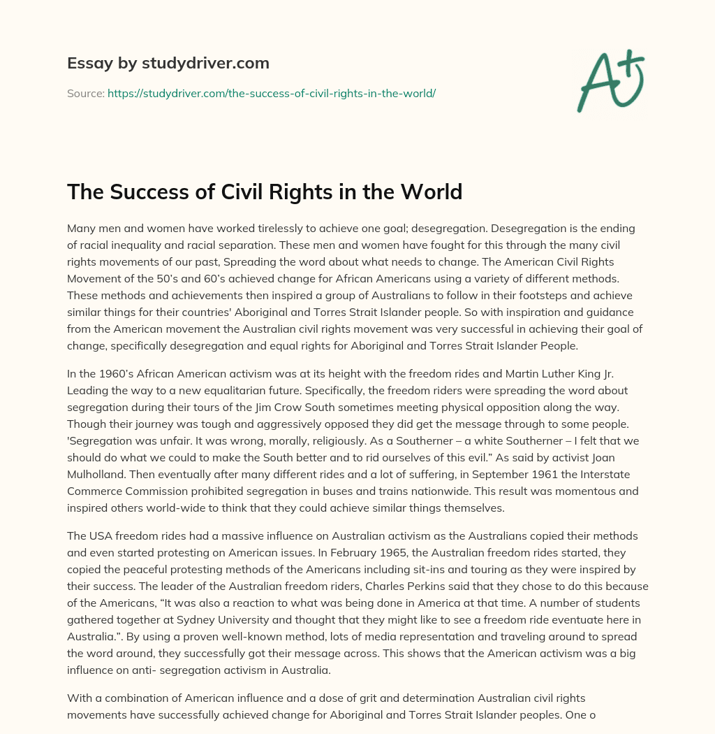 The Success of Civil Rights in the World essay