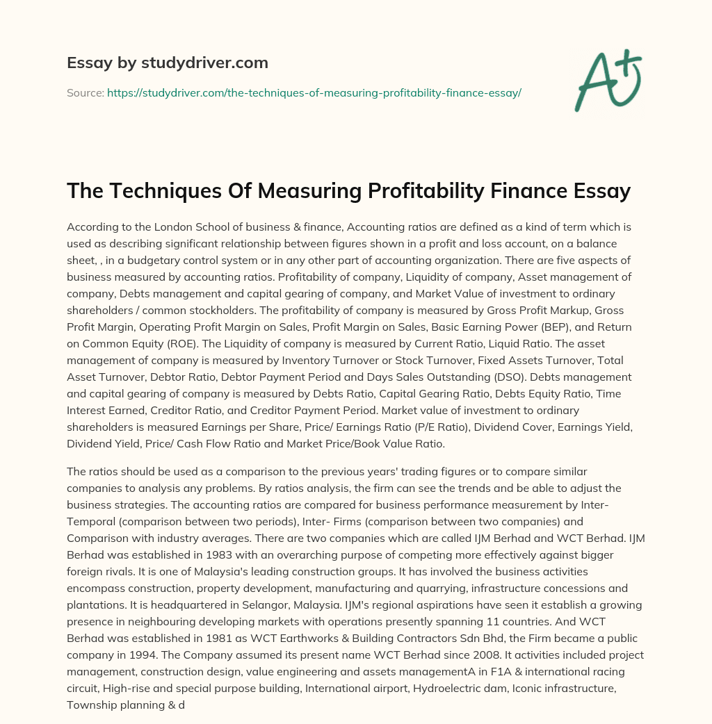 The Techniques of Measuring Profitability Finance Essay essay