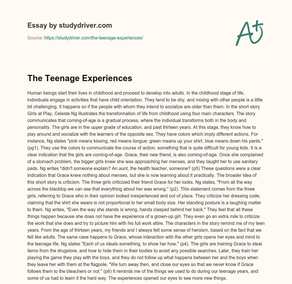 The Teenage Experiences essay