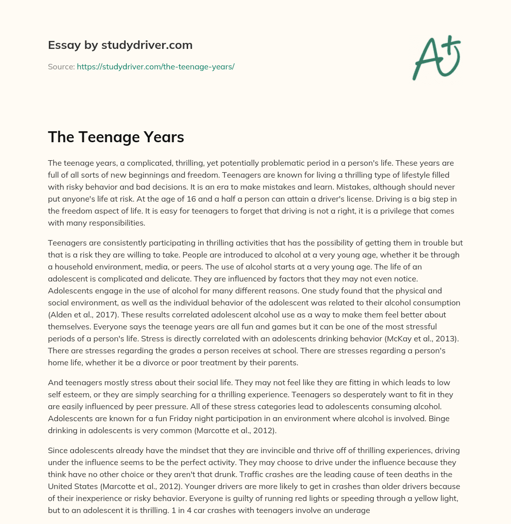 The Teenage Years essay