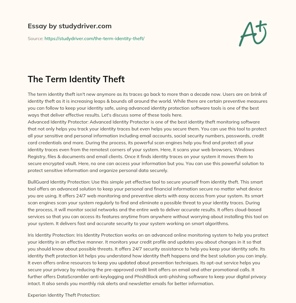 The Term Identity Theft essay