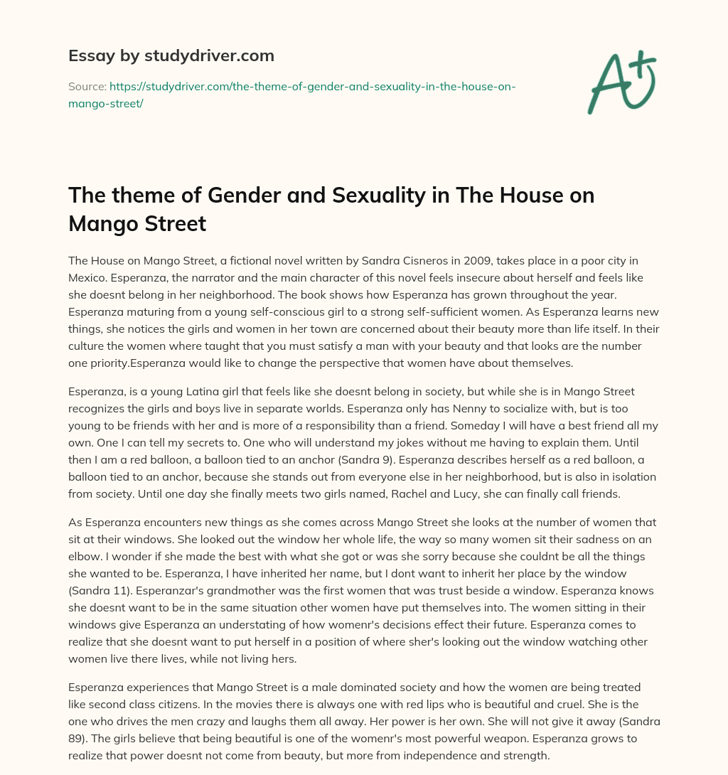 The Theme of Gender and Sexuality in the House on Mango Street essay