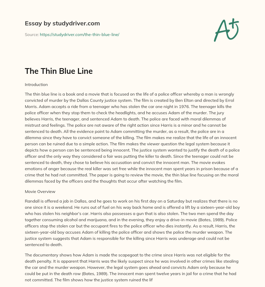 The Thin Blue Line essay