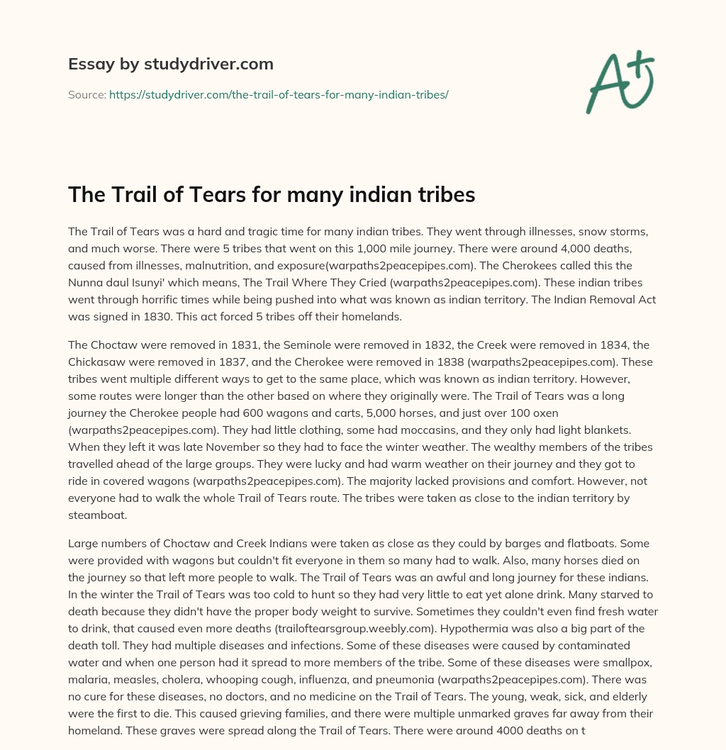 The Trail of Tears for Many Indian Tribes essay
