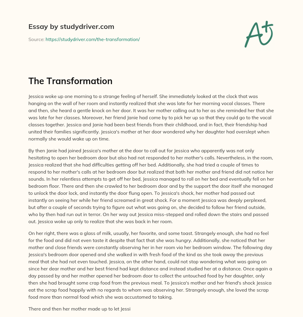 The Transformation essay