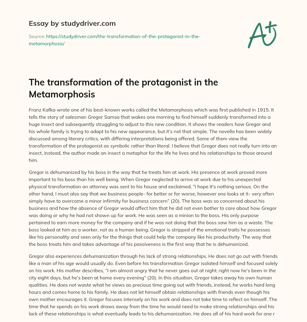 The Transformation of the Protagonist in the Metamorphosis essay