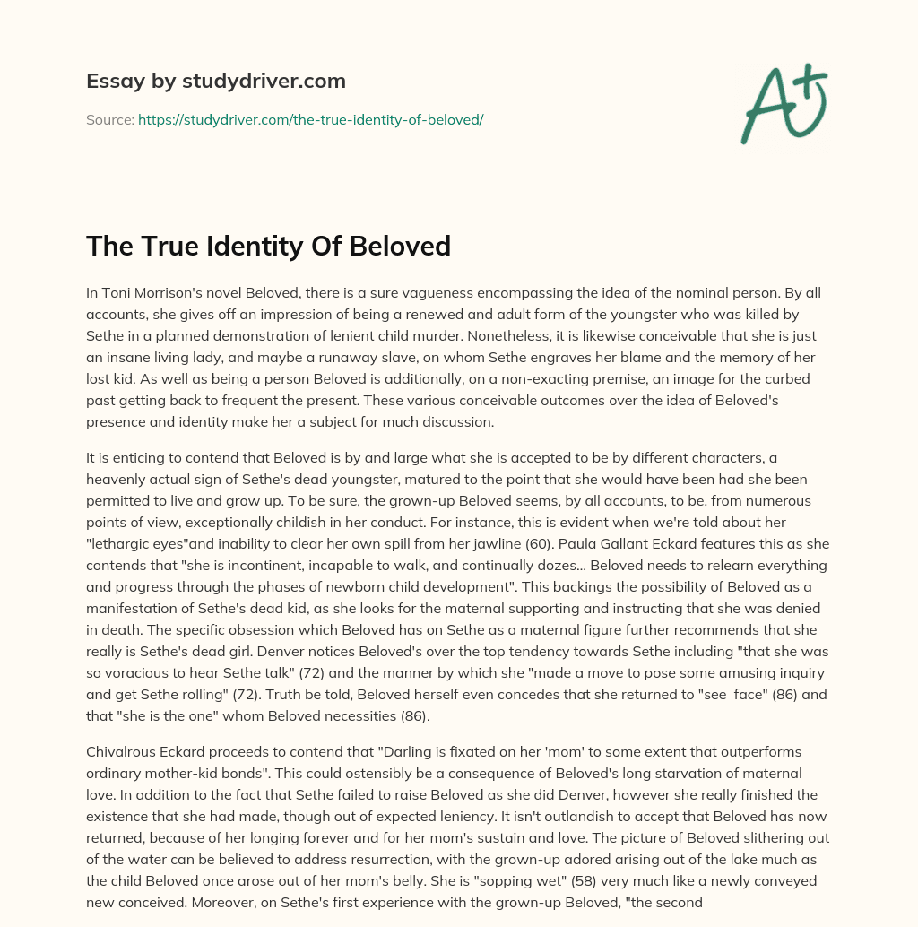The True Identity of Beloved essay