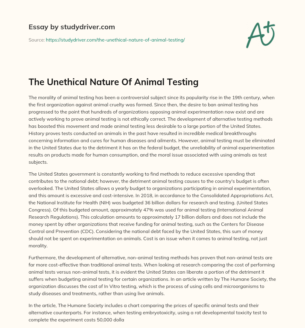 The Unethical Nature of Animal Testing essay
