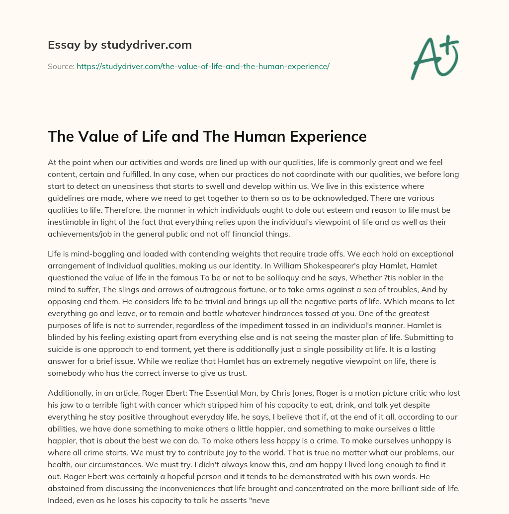 The Value of Life and the Human Experience essay
