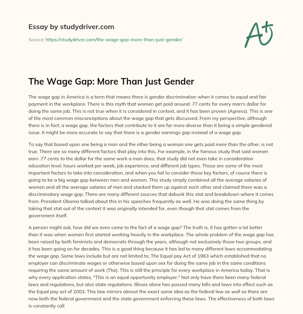 The Wage Gap: more than Just Gender essay