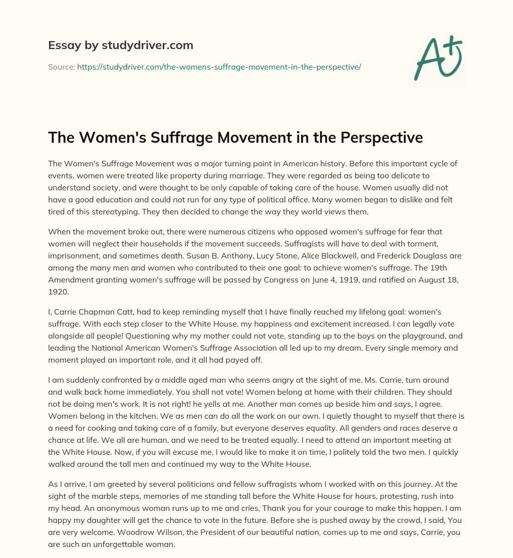 The Women’s Suffrage Movement in the Perspective essay