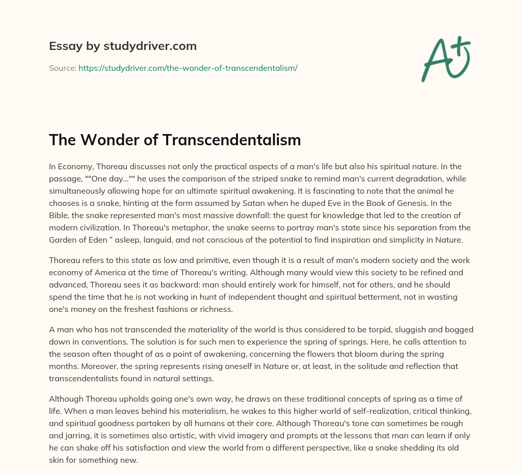 The Wonder of Transcendentalism essay