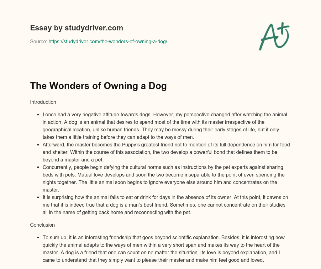 The Wonders of Owning a Dog essay