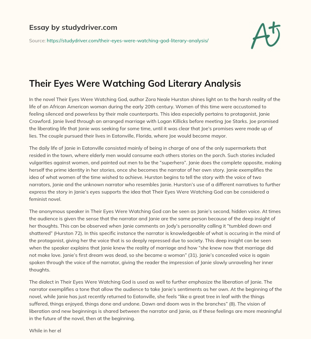 Their Eyes were Watching God Literary Analysis essay