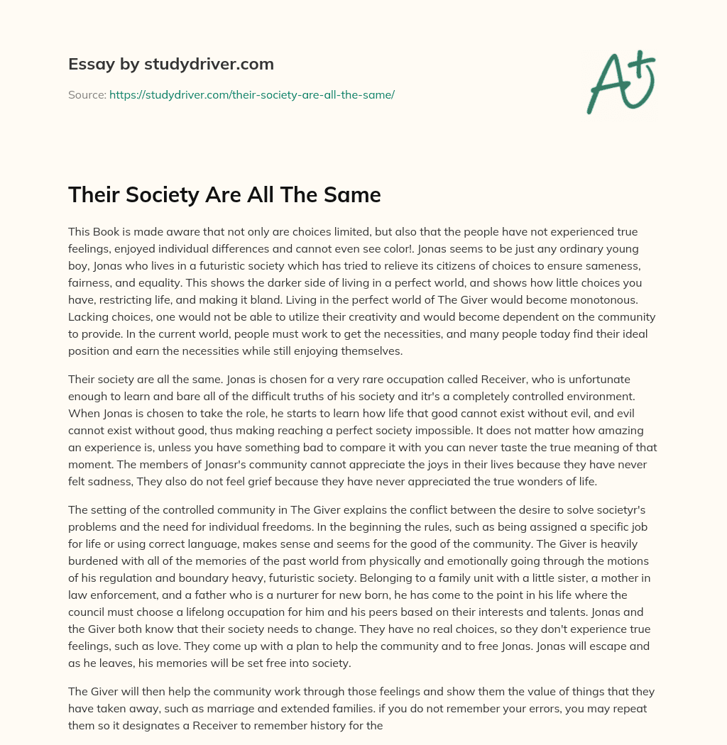 Their Society are all the same essay