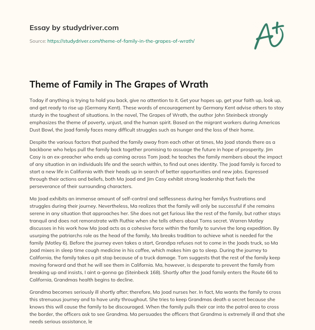 Theme of Family in the Grapes of Wrath essay