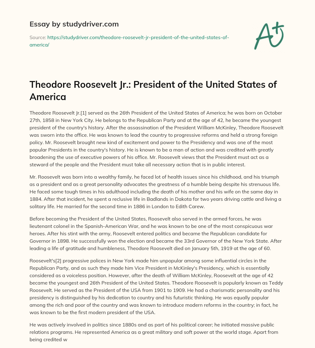 Theodore Roosevelt Jr.: President of the United States of America essay