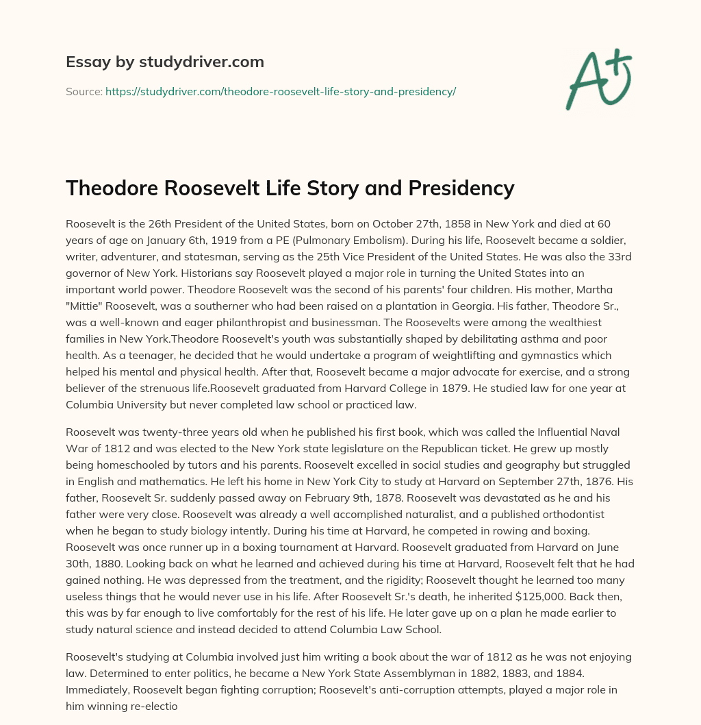 Theodore Roosevelt Life Story and Presidency essay