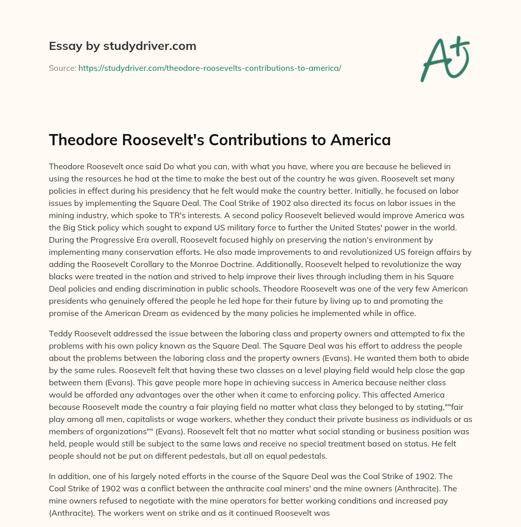 Theodore Roosevelt’s Contributions to America essay