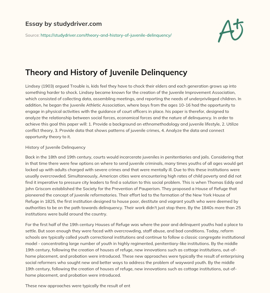 Theory and History of Juvenile Delinquency essay
