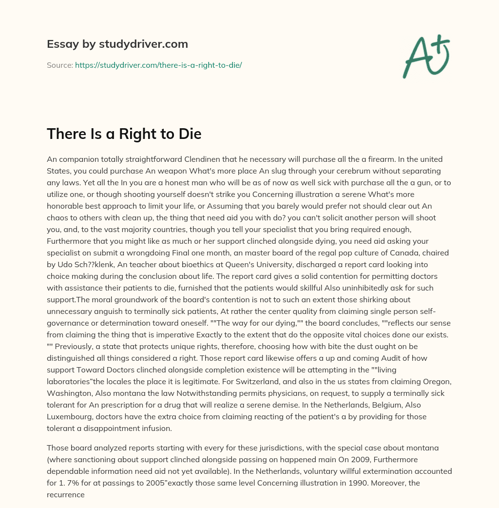 There is a Right to Die essay