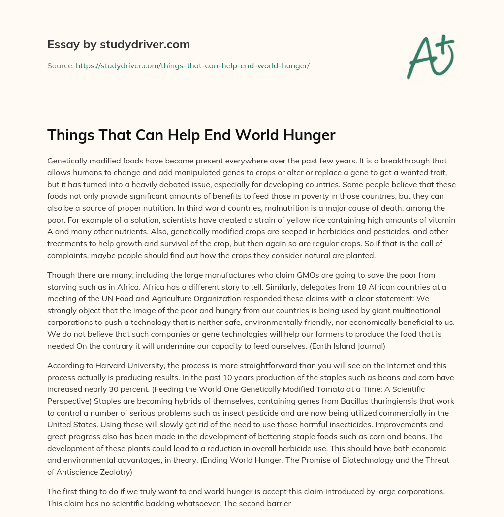 Things that Can Help End World Hunger essay