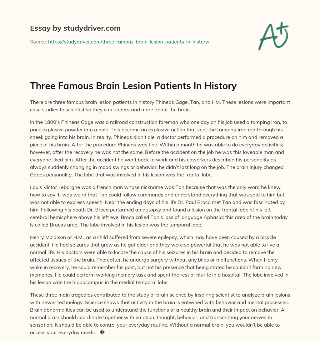 Three Famous Brain Lesion Patients in History essay