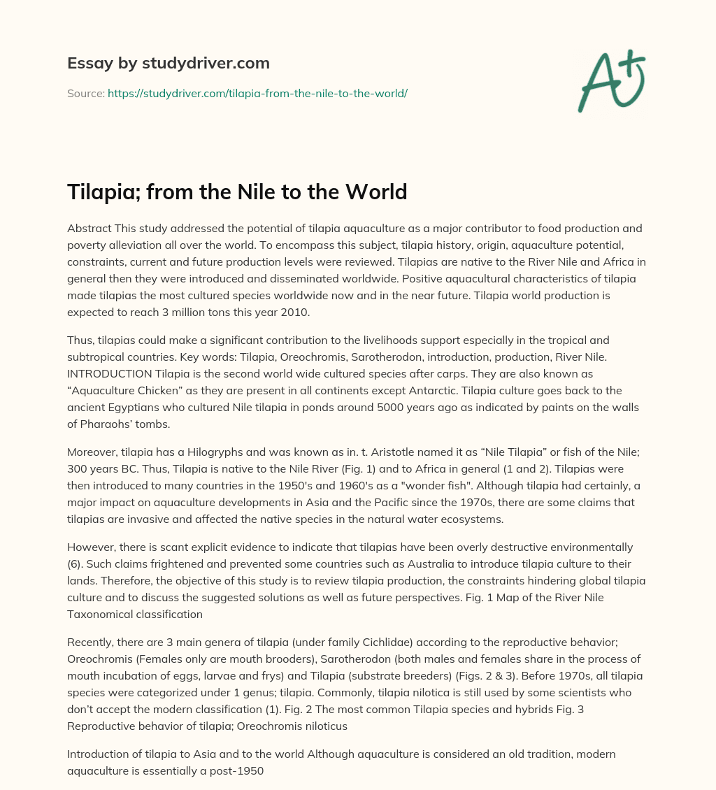 Tilapia; from the Nile to the World essay
