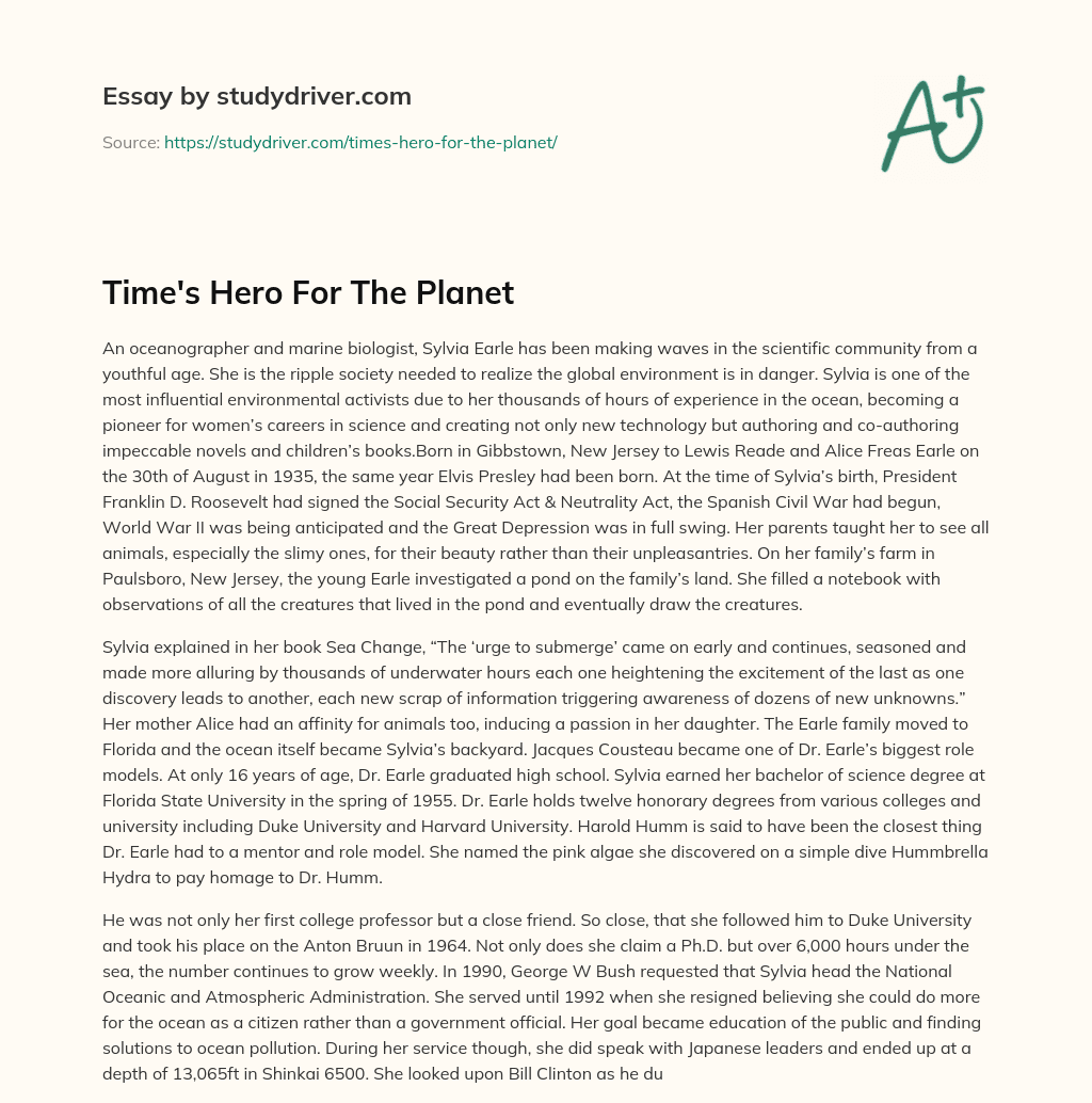 Time’s Hero for the Planet essay