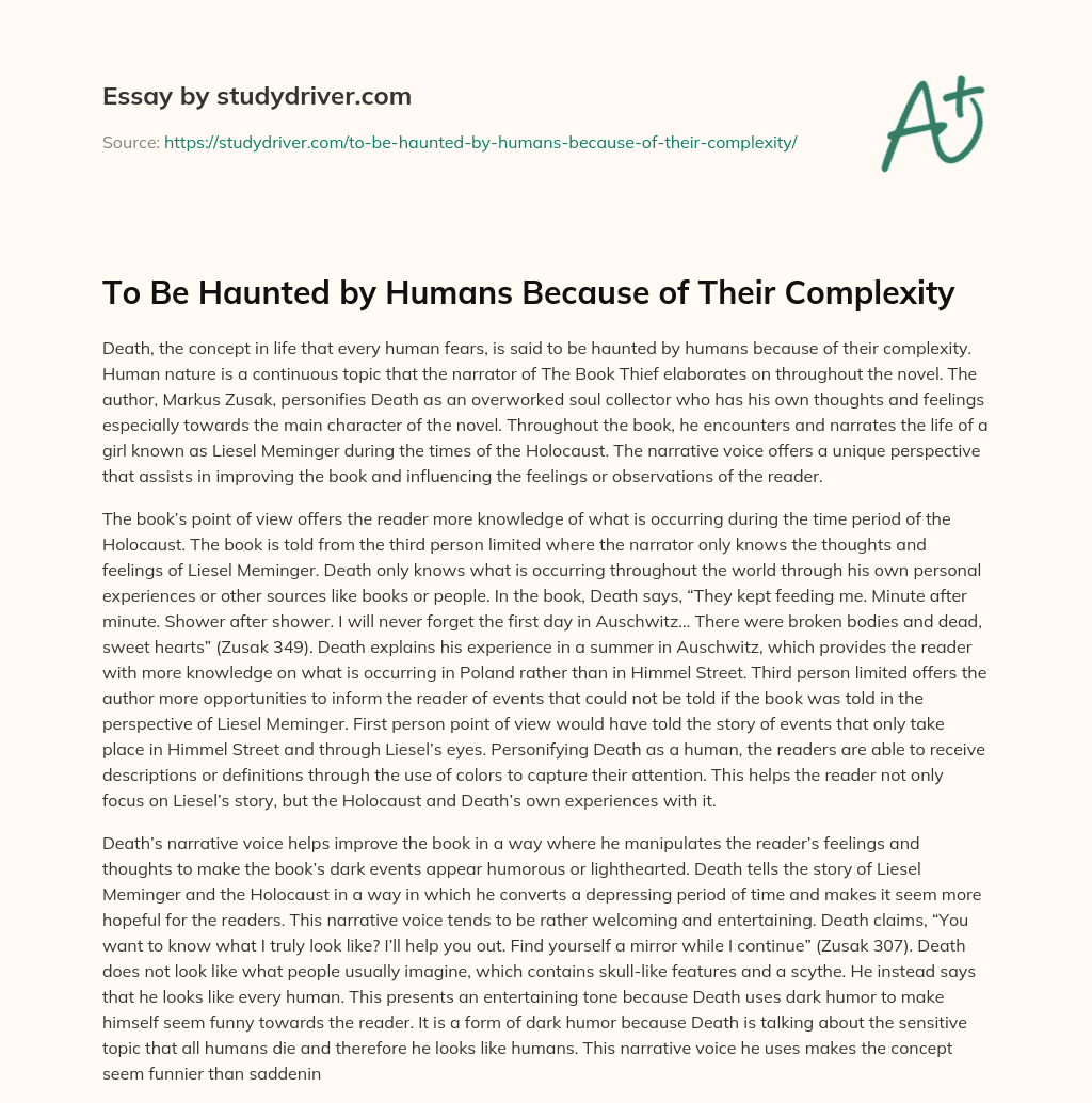 To be Haunted by Humans because of their Complexity essay
