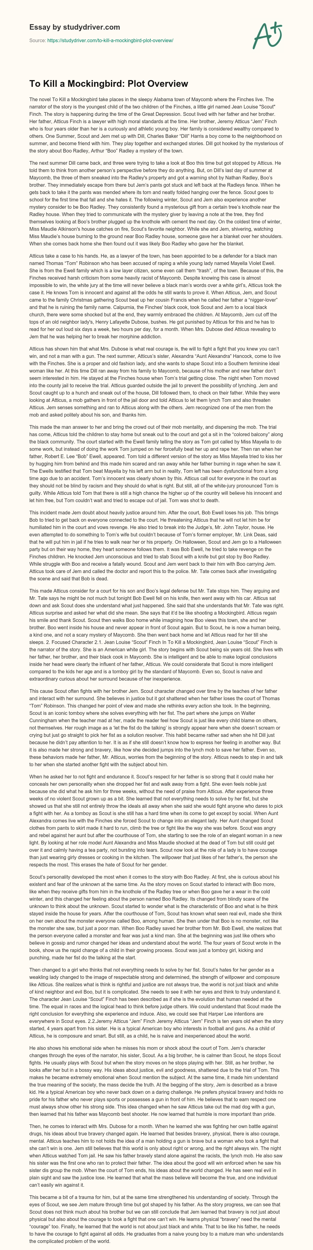 To Kill a Mockingbird: Plot Overview essay