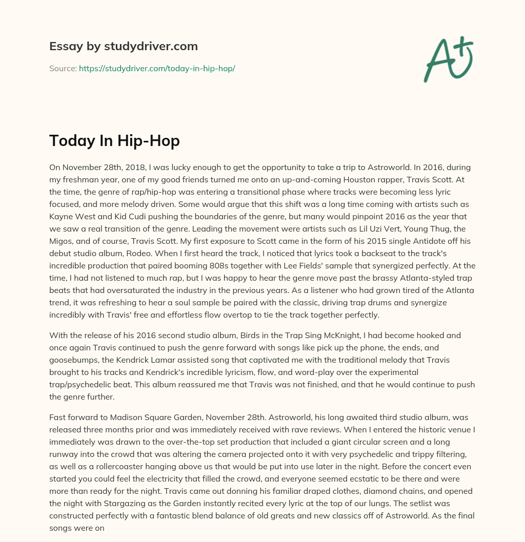 Today in Hip-Hop essay