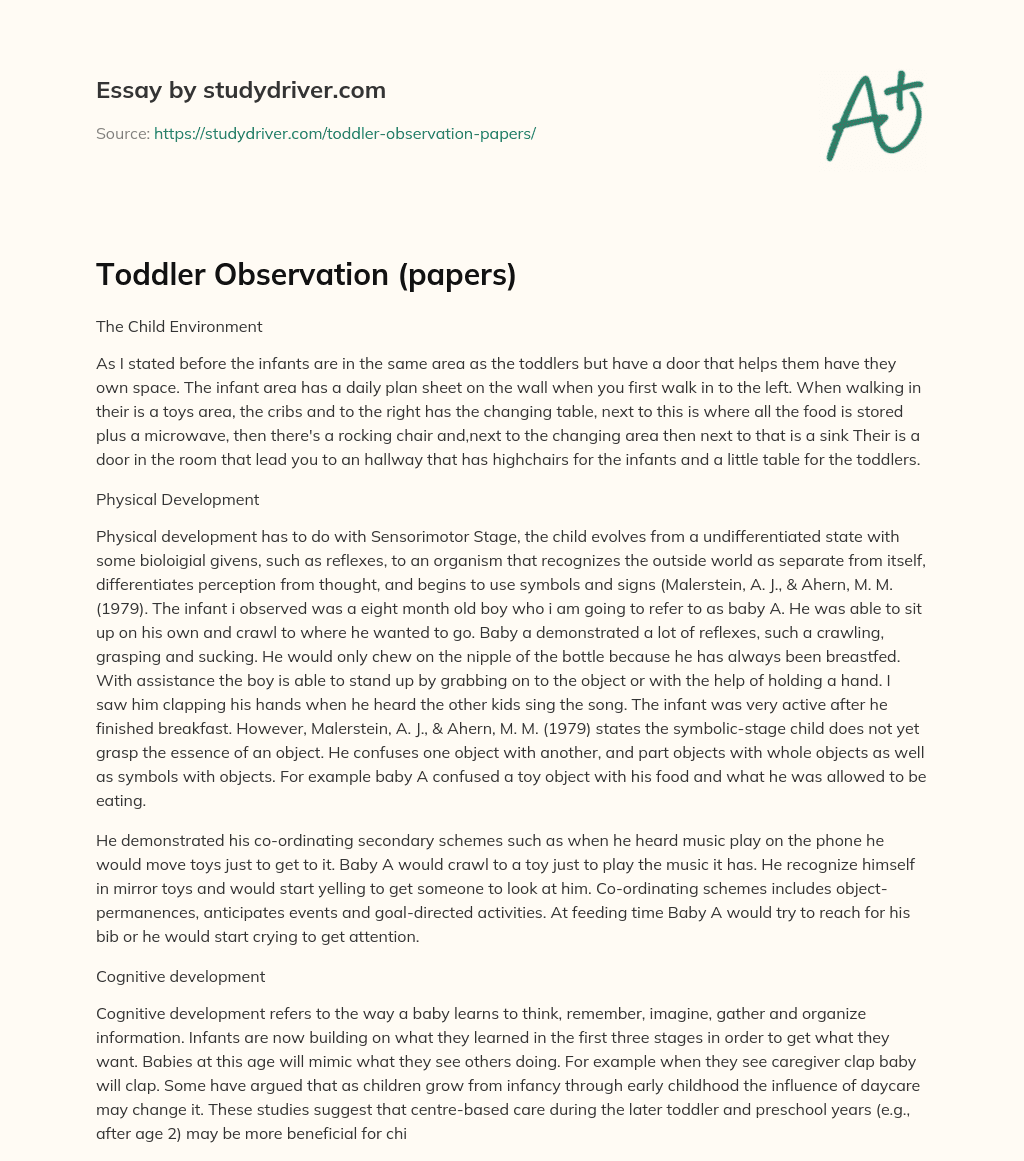 Toddler Observation (papers) essay