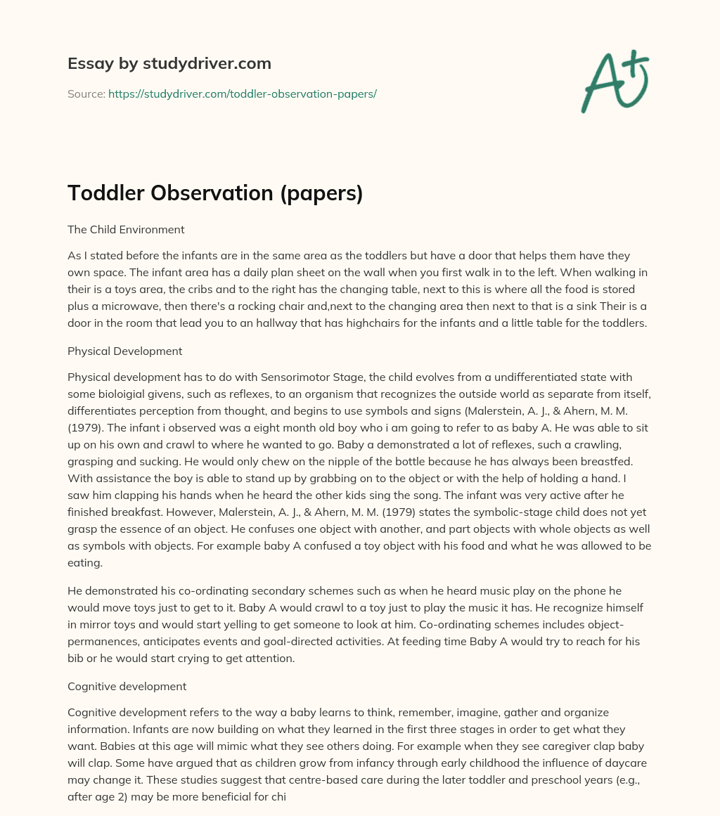 Toddler Observation papers Free Essay Example StudyDriver