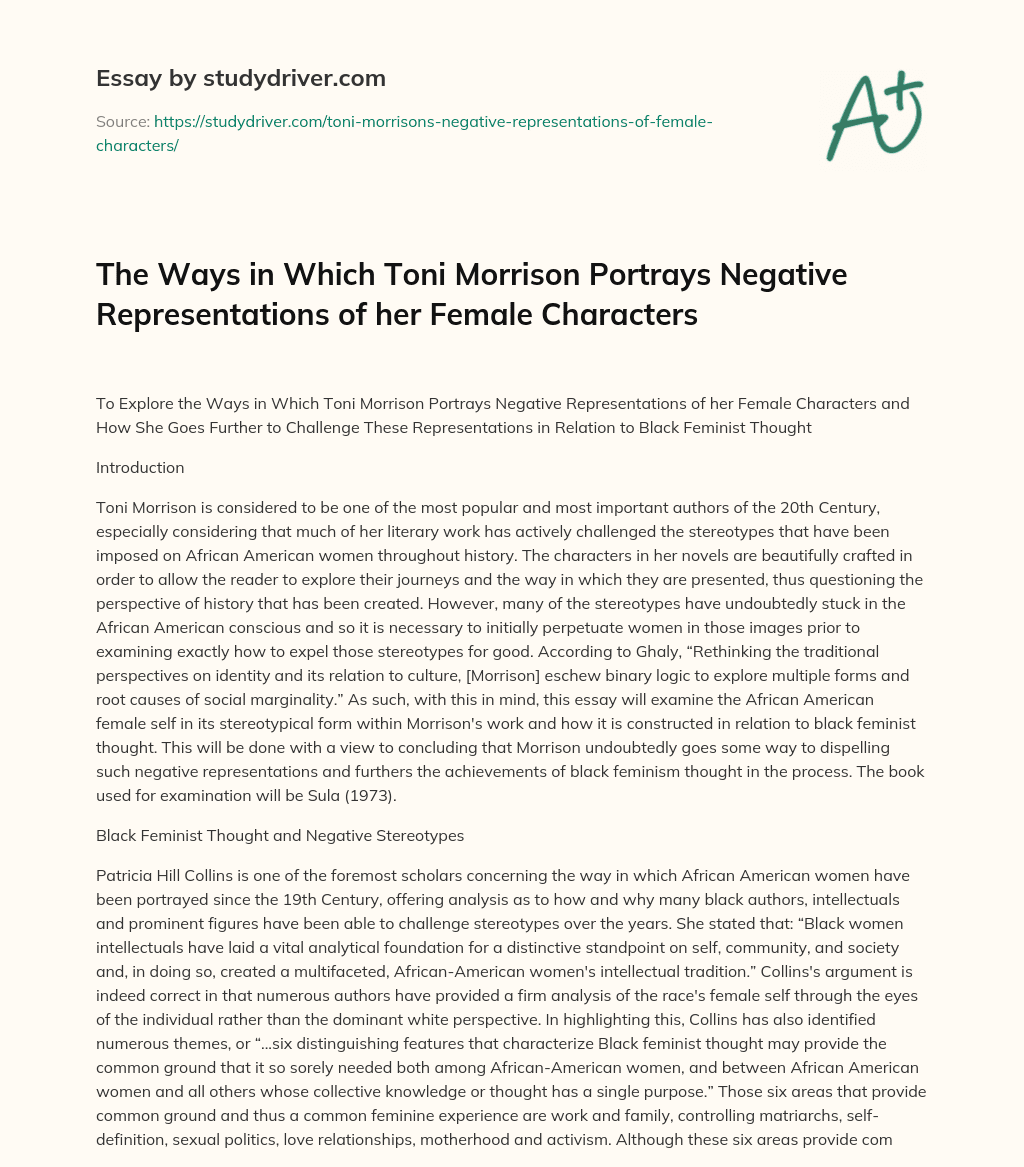 The Ways in which Toni Morrison Portrays Negative Representations of her Female Characters essay