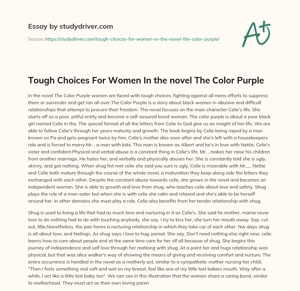 Tough Choices for Women in the Novel the Color Purple essay
