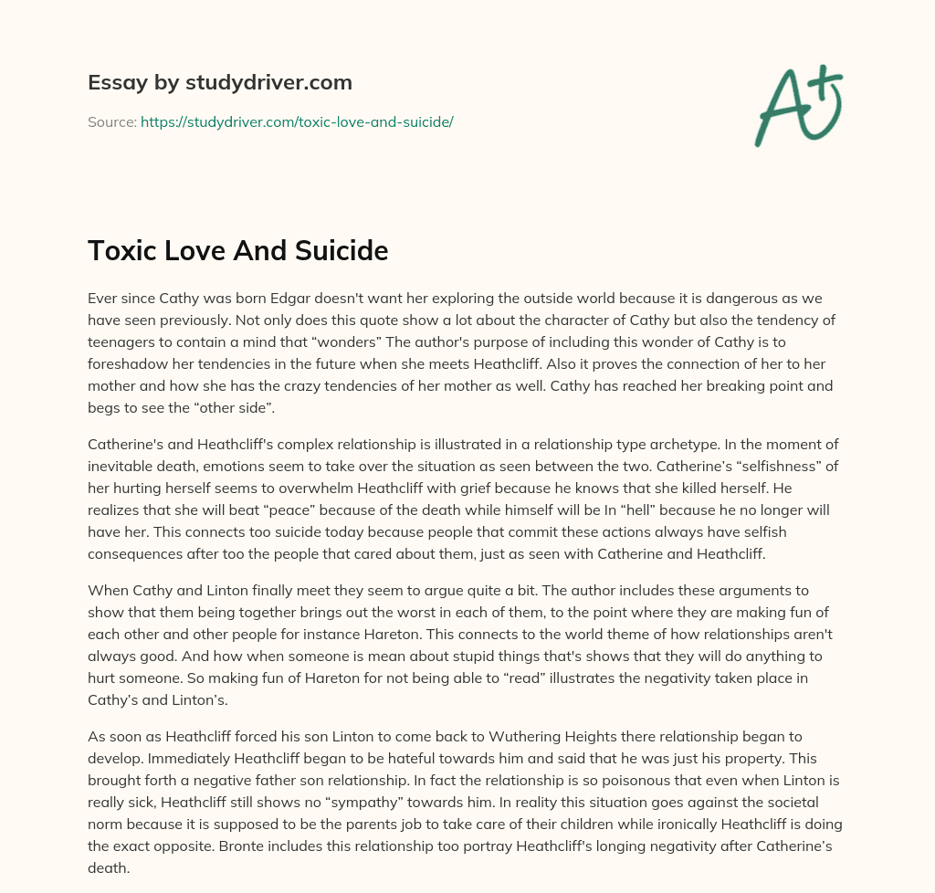 Toxic Love and Suicide essay