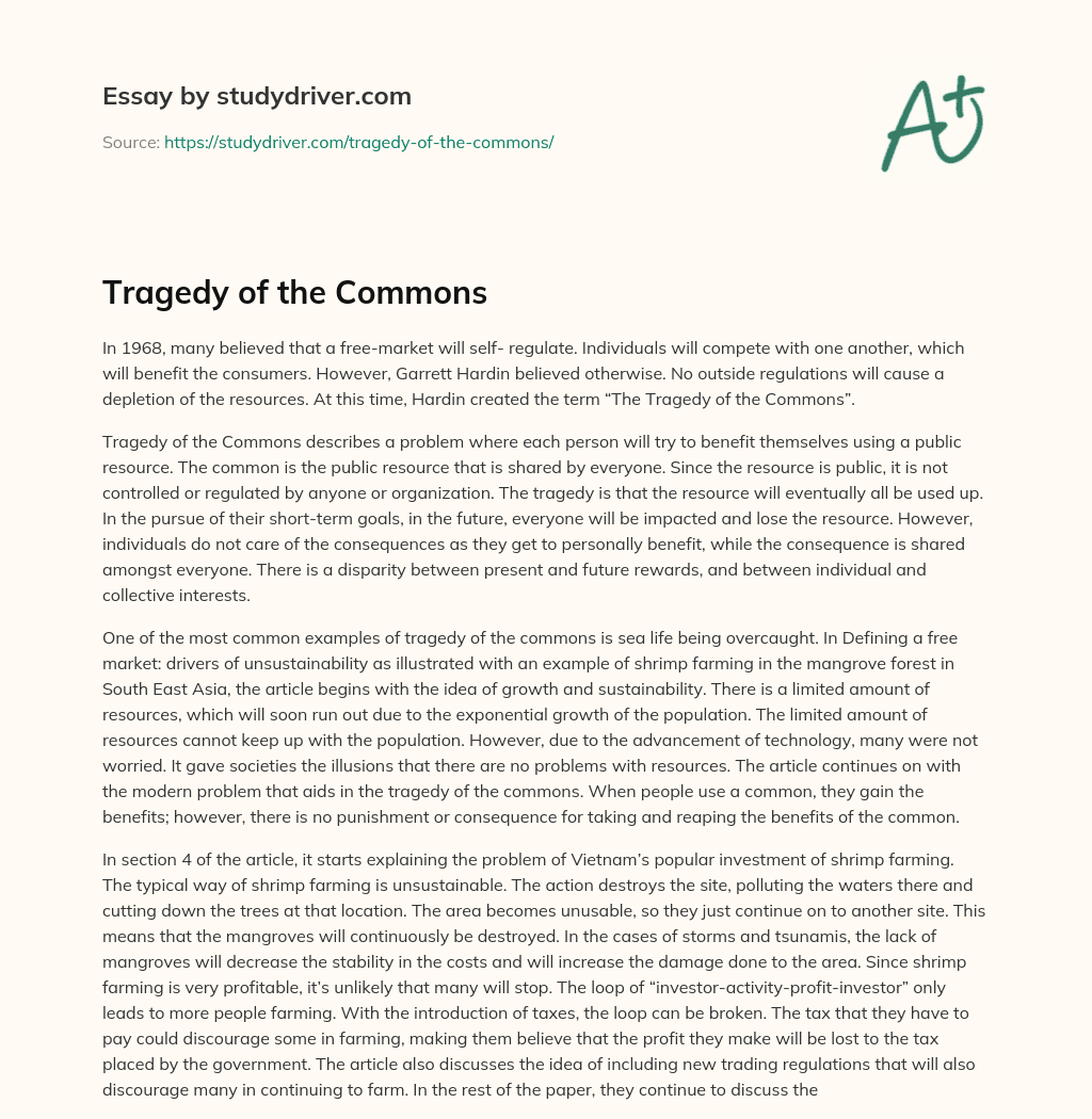Tragedy of the Commons essay