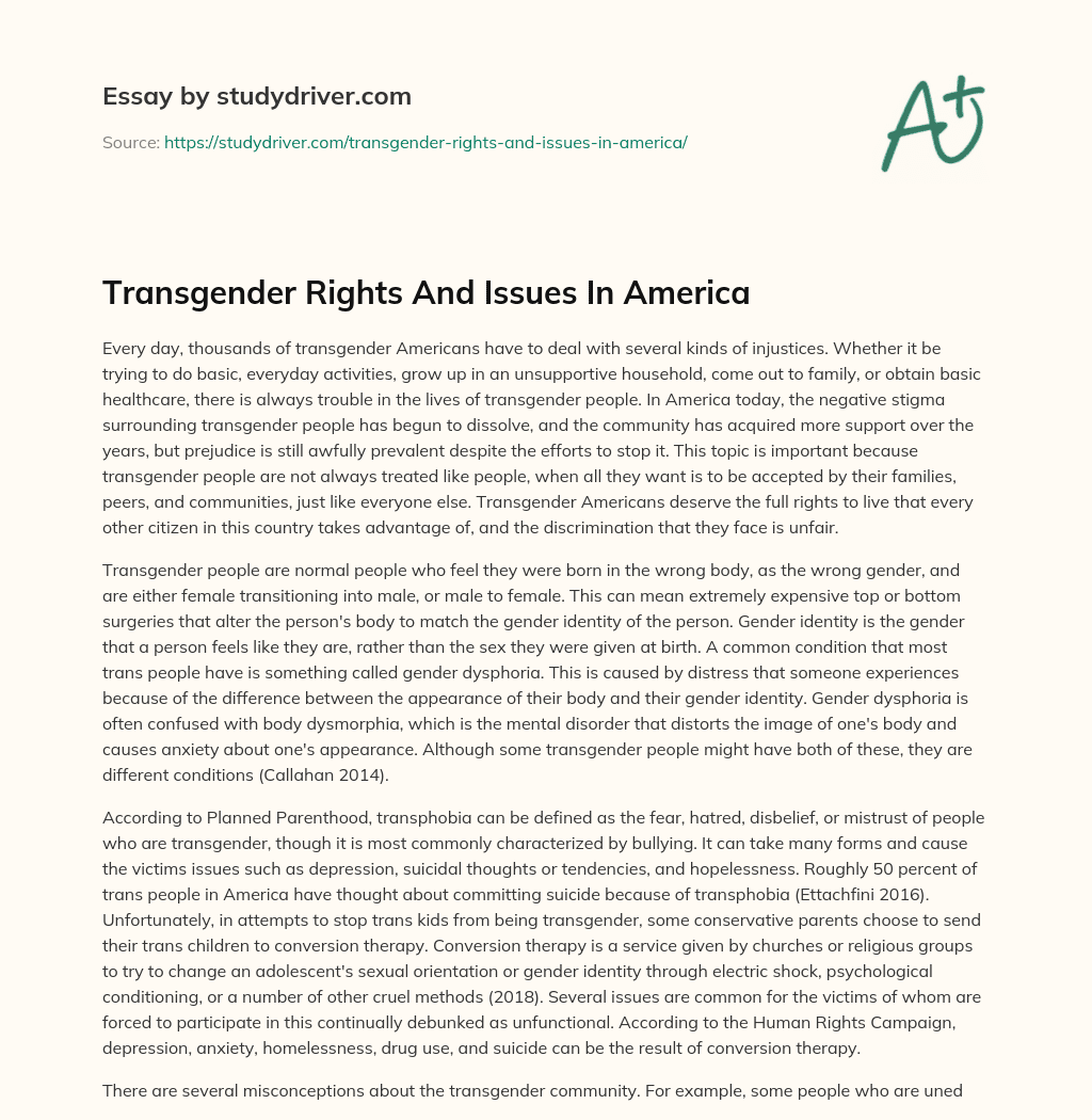 Transgender Rights and Issues in America essay