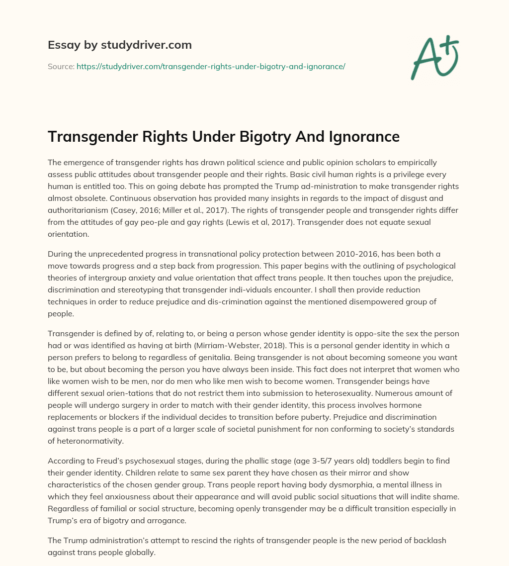 Transgender Rights under Bigotry and Ignorance essay