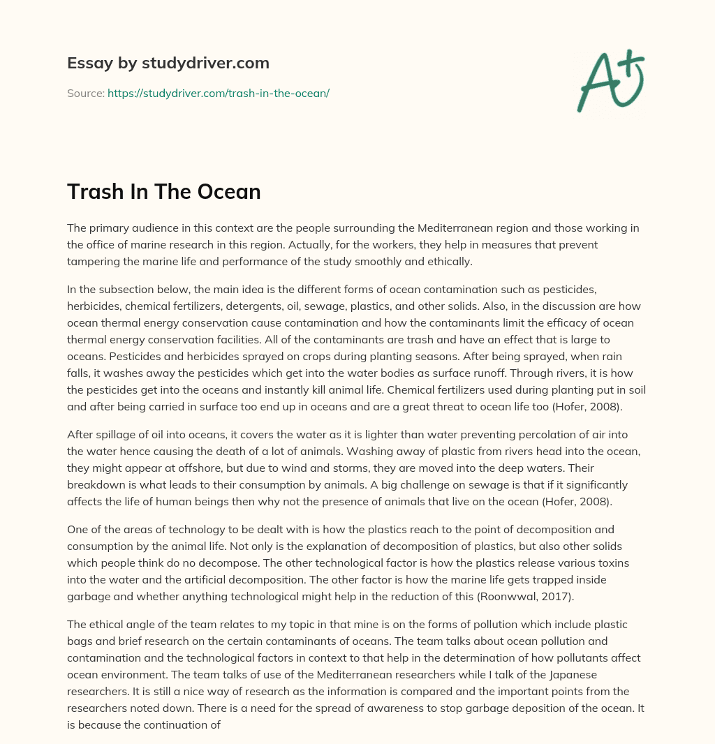 Trash in the Ocean essay