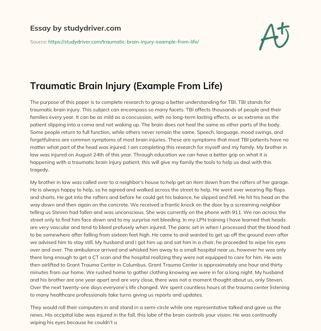 Traumatic Brain Injury (Example from Life) essay