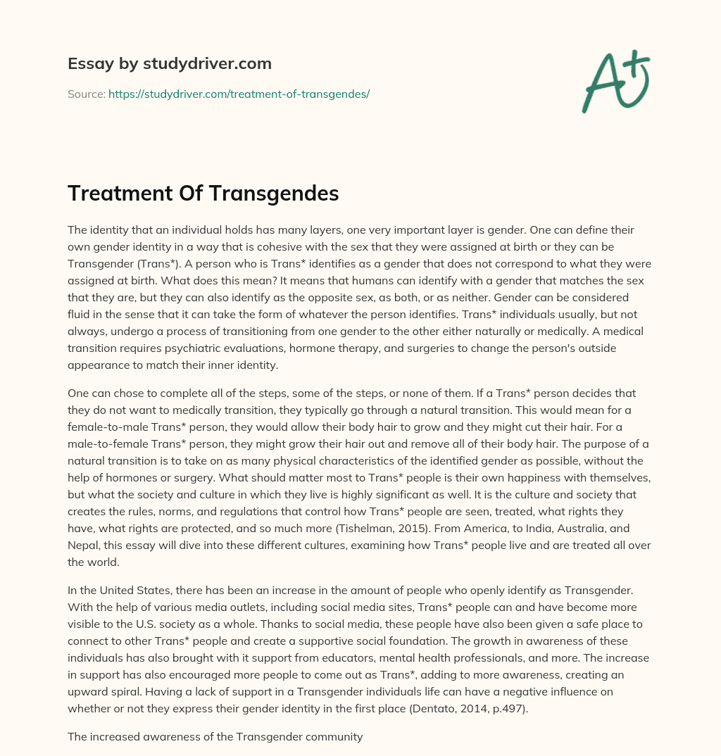 Treatment of Transgendes essay