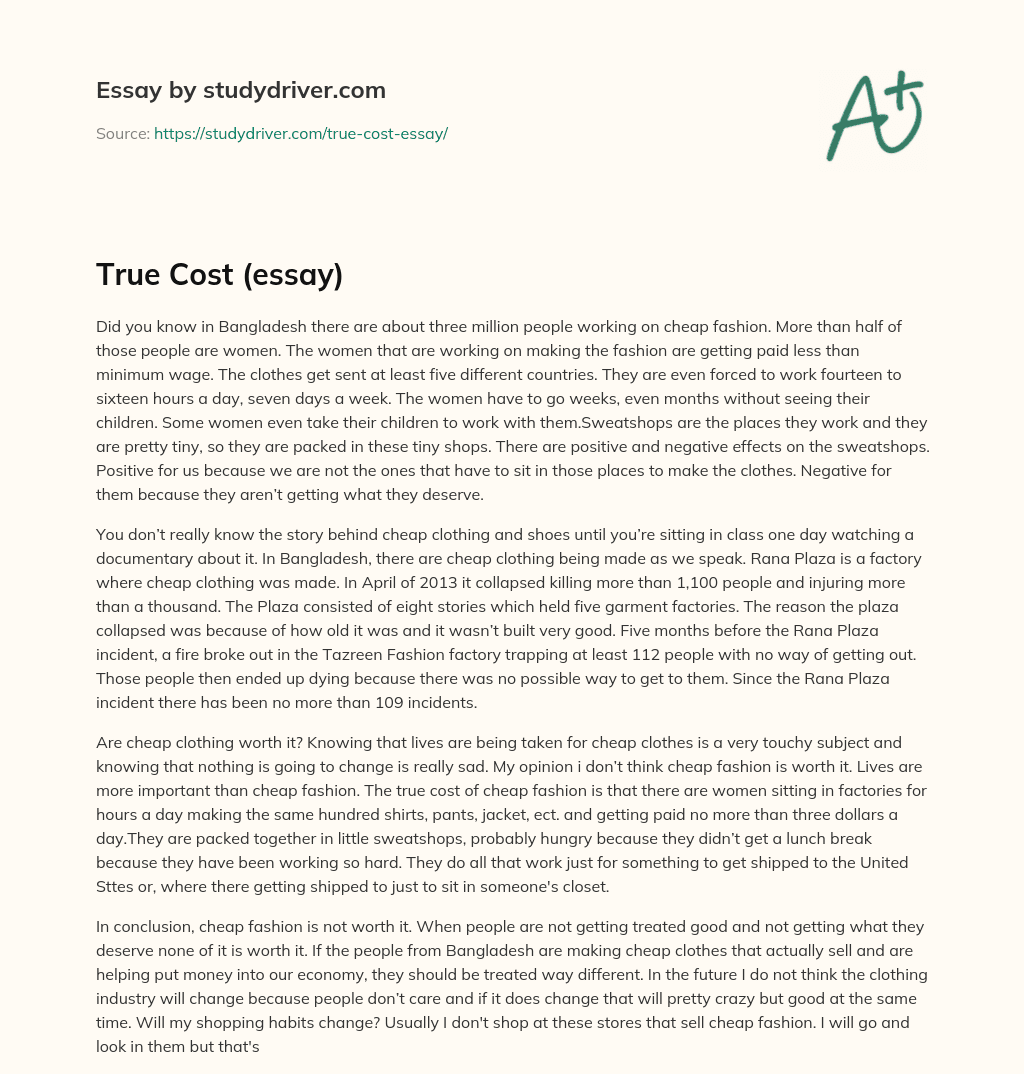 True Cost (essay) essay