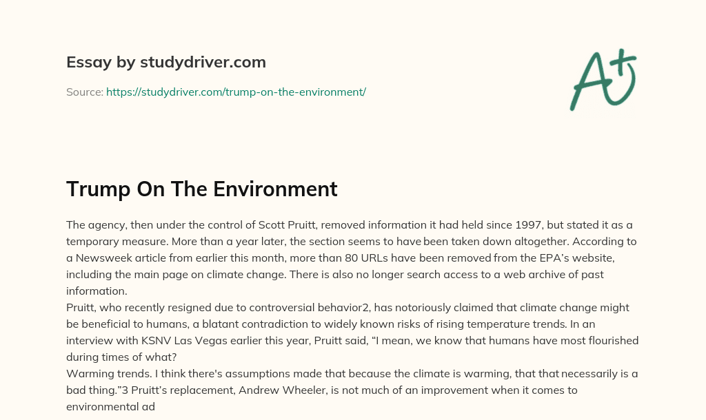 Trump on the Environment essay
